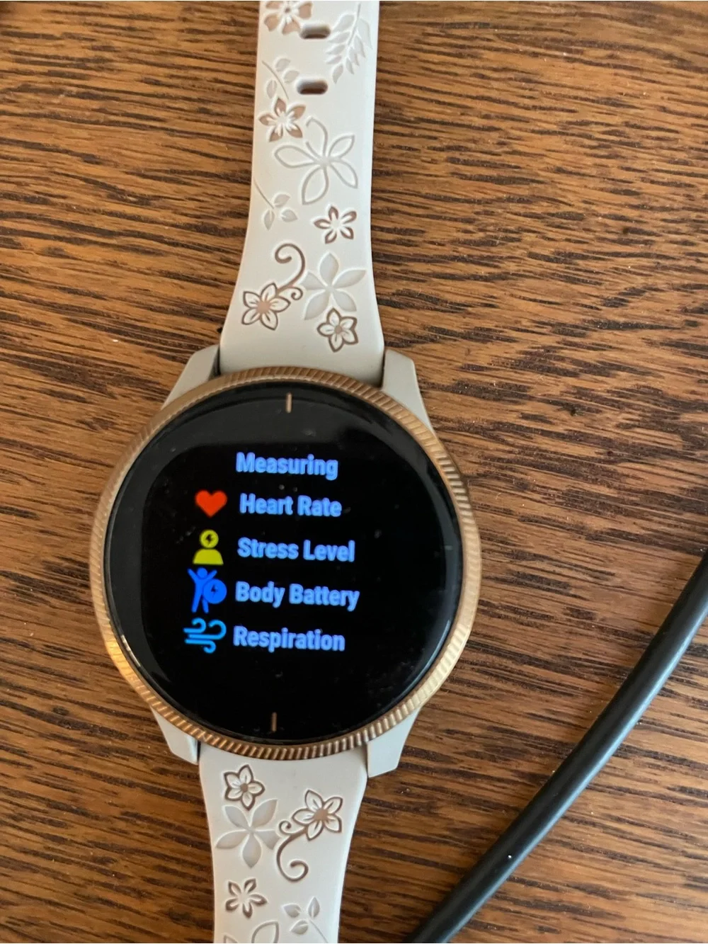 Garmin Venu 2 Rose Gold smartwatch